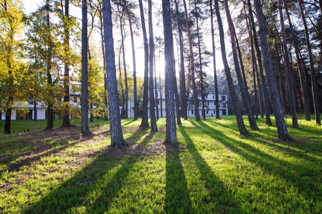 Kasor Resort & Spa ストリクフ エクステリア 写真